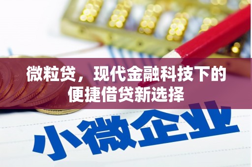 泸溪微粒贷，现代金融科技下的便捷借贷新选择
