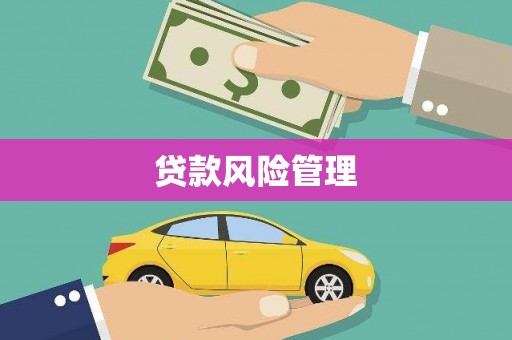 泸溪贷款风险管理