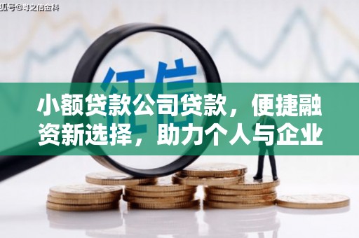 泸溪小额贷款公司贷款，便捷融资新选择，助力个人与企业成长