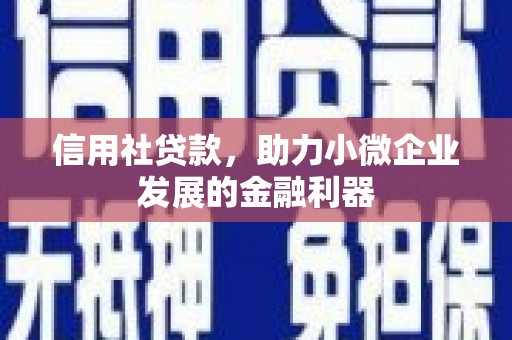 泸溪信用社贷款，助力小微企业发展的金融利器