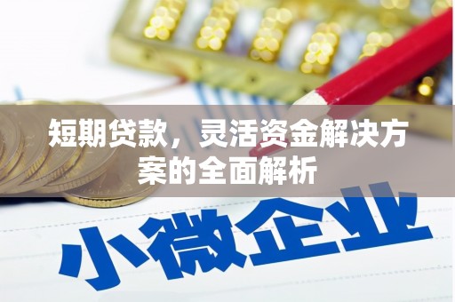 泸溪短期贷款，灵活资金解决方案的全面解析