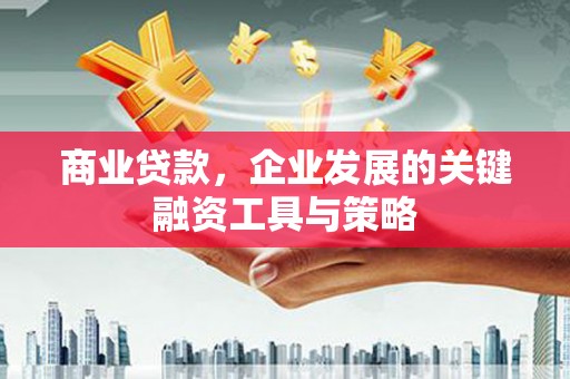 泸溪商业贷款，企业发展的关键融资工具与策略