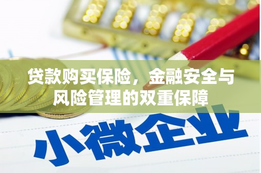 泸溪贷款购买保险，金融安全与风险管理的双重保障