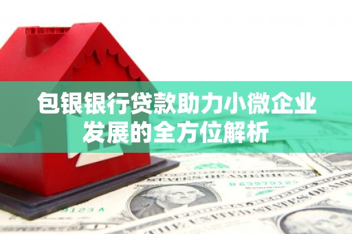 泸溪包银银行贷款助力小微企业发展的全方位解析