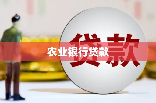 泸溪农业银行贷款