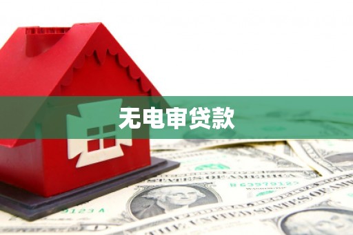泸溪无电审贷款