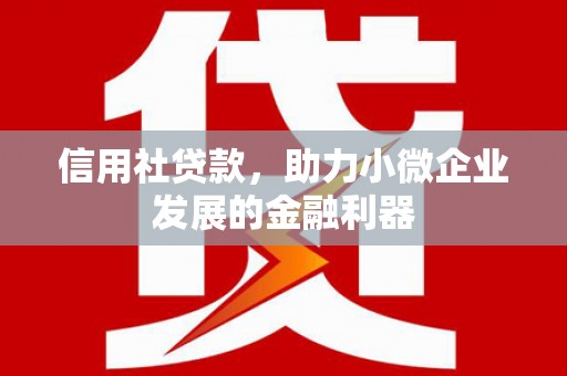 泸溪信用社贷款，助力小微企业发展的金融利器