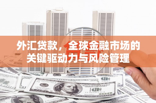 泸溪外汇贷款，全球金融市场的关键驱动力与风险管理
