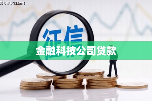 泸溪金融科技公司贷款