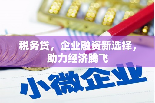 泸溪税务贷，企业融资新选择，助力经济腾飞