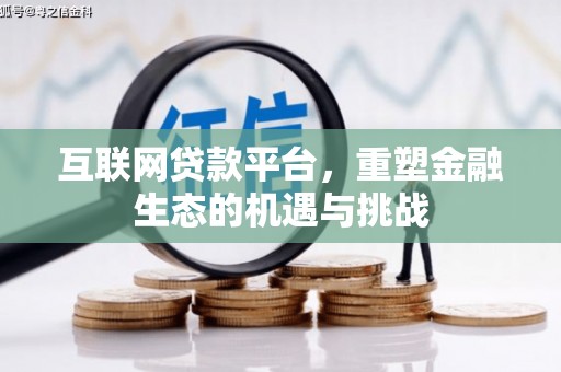 泸溪互联网贷款平台，重塑金融生态的机遇与挑战