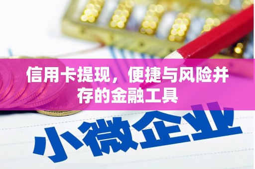 泸溪信用卡提现，便捷与风险并存的金融工具