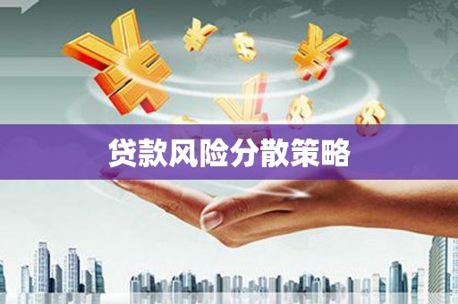 泸溪贷款风险分散策略