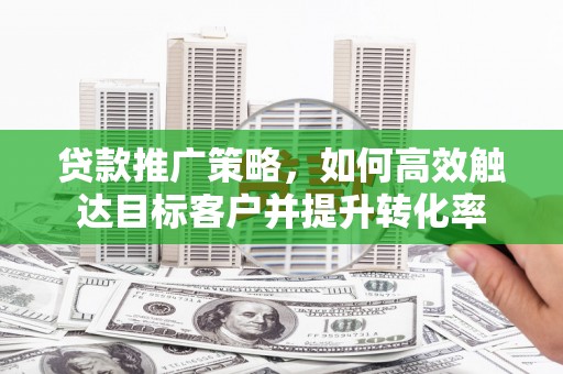 泸溪贷款推广策略，如何高效触达目标客户并提升转化率