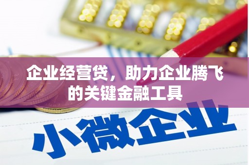 泸溪企业经营贷，助力企业腾飞的关键金融工具