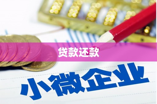泸溪贷款还款