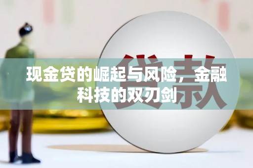 泸溪现金贷的崛起与风险，金融科技的双刃剑