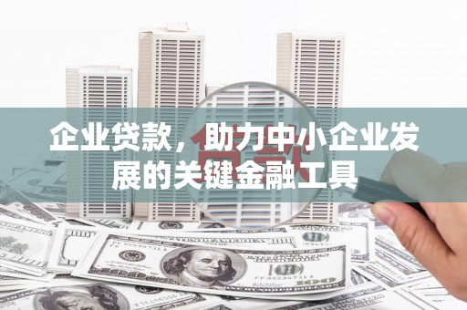 泸溪企业贷款，助力中小企业发展的关键金融工具