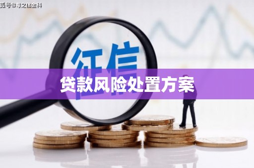 泸溪贷款风险处置方案