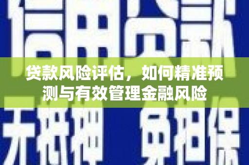 泸溪贷款风险评估，如何精准预测与有效管理金融风险