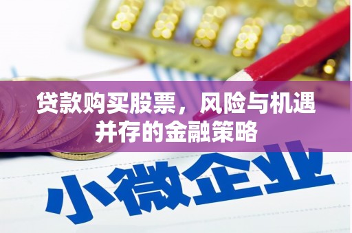 泸溪贷款购买股票，风险与机遇并存的金融策略