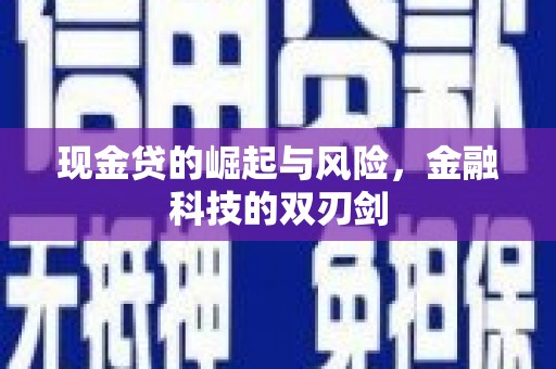 泸溪现金贷的崛起与风险，金融科技的双刃剑