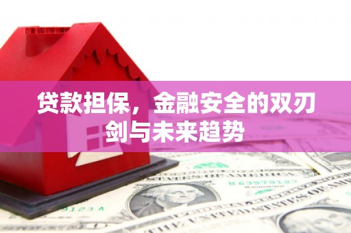 泸溪贷款担保，金融安全的双刃剑与未来趋势