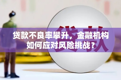 泸溪贷款不良率攀升，金融机构如何应对风险挑战？