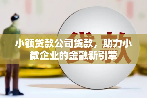 泸溪小额贷款公司贷款，助力小微企业的金融新引擎