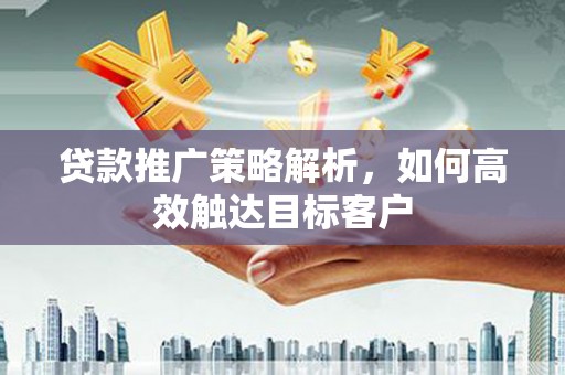泸溪贷款推广策略解析，如何高效触达目标客户