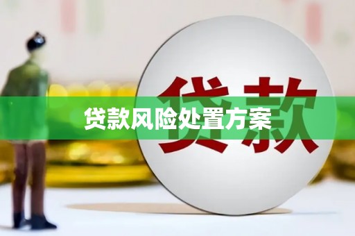 泸溪贷款风险处置方案