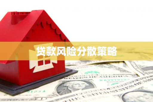 泸溪贷款风险分散策略