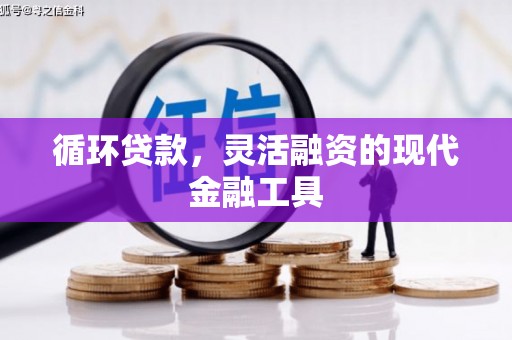泸溪循环贷款，灵活融资的现代金融工具