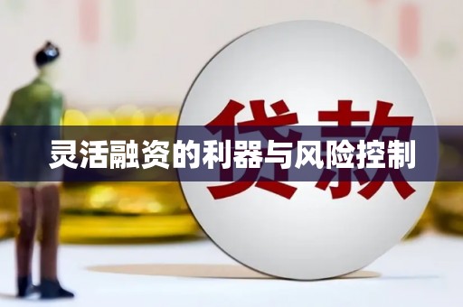 泸溪灵活融资的利器与风险控制