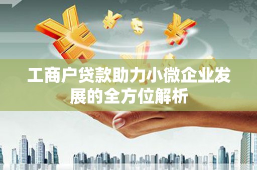泸溪工商户贷款助力小微企业发展的全方位解析