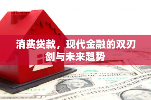 泸溪消费贷款，现代金融的双刃剑与未来趋势