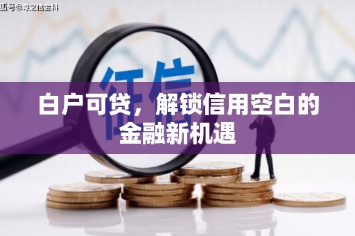 泸溪白户可贷，解锁信用空白的金融新机遇