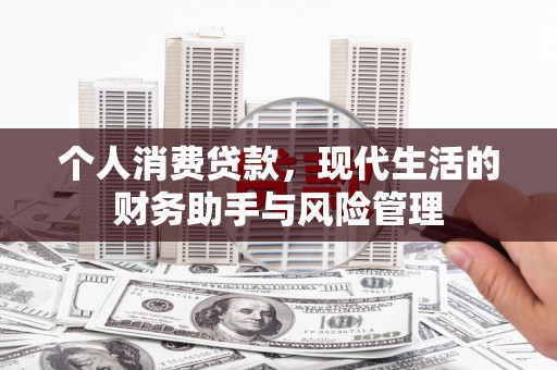 泸溪个人消费贷款，现代生活的财务助手与风险管理