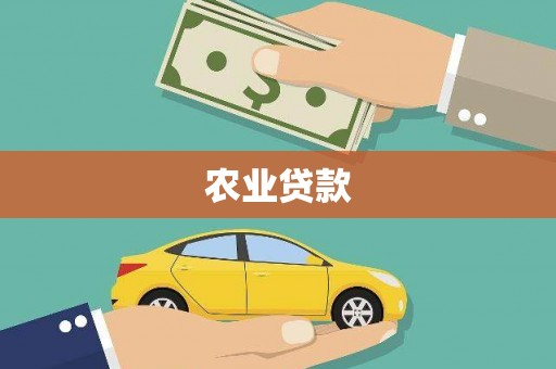 泸溪农业贷款