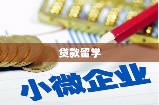 泸溪贷款留学