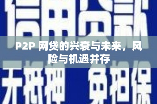 泸溪P2P 网贷的兴衰与未来，风险与机遇并存