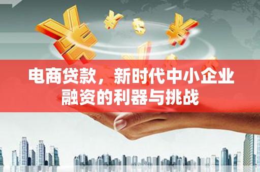 泸溪电商贷款，新时代中小企业融资的利器与挑战