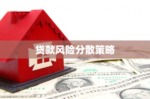 泸溪贷款风险分散策略