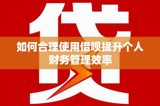 泸溪如何合理使用借呗提升个人财务管理效率