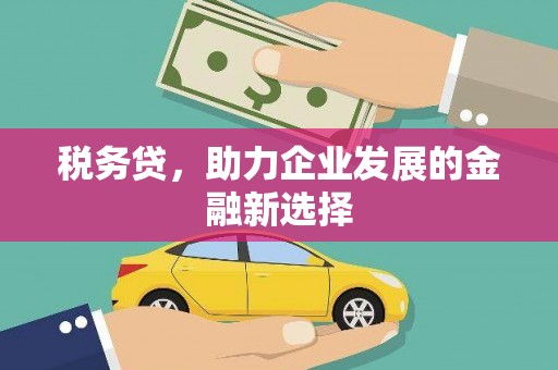 泸溪税务贷，助力企业发展的金融新选择