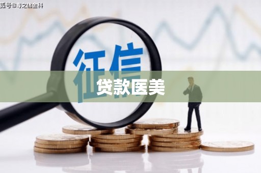 泸溪贷款医美