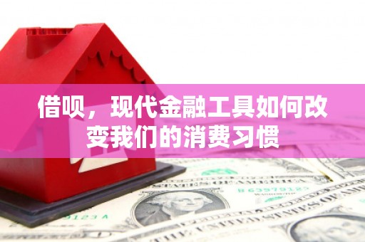 泸溪借呗，现代金融工具如何改变我们的消费习惯