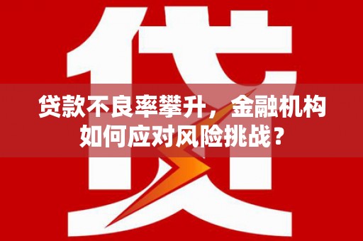 泸溪贷款不良率攀升，金融机构如何应对风险挑战？