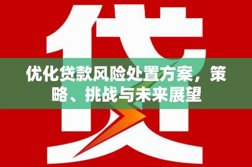 泸溪优化贷款风险处置方案，策略、挑战与未来展望