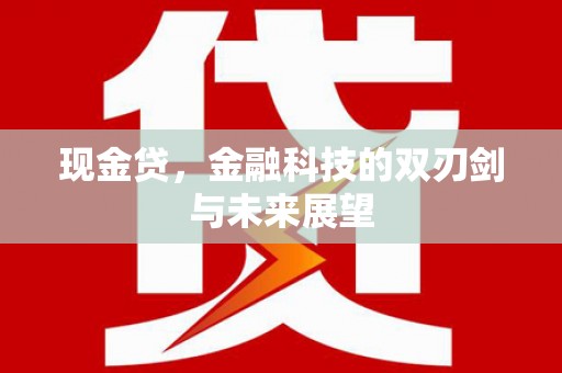 泸溪现金贷，金融科技的双刃剑与未来展望